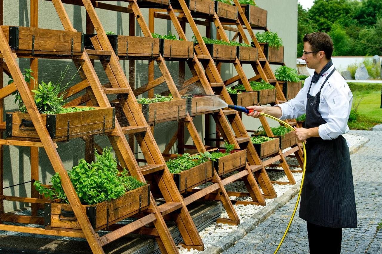 Hotel Panstvi Dlouha Lhota Ngoại thất bức ảnh